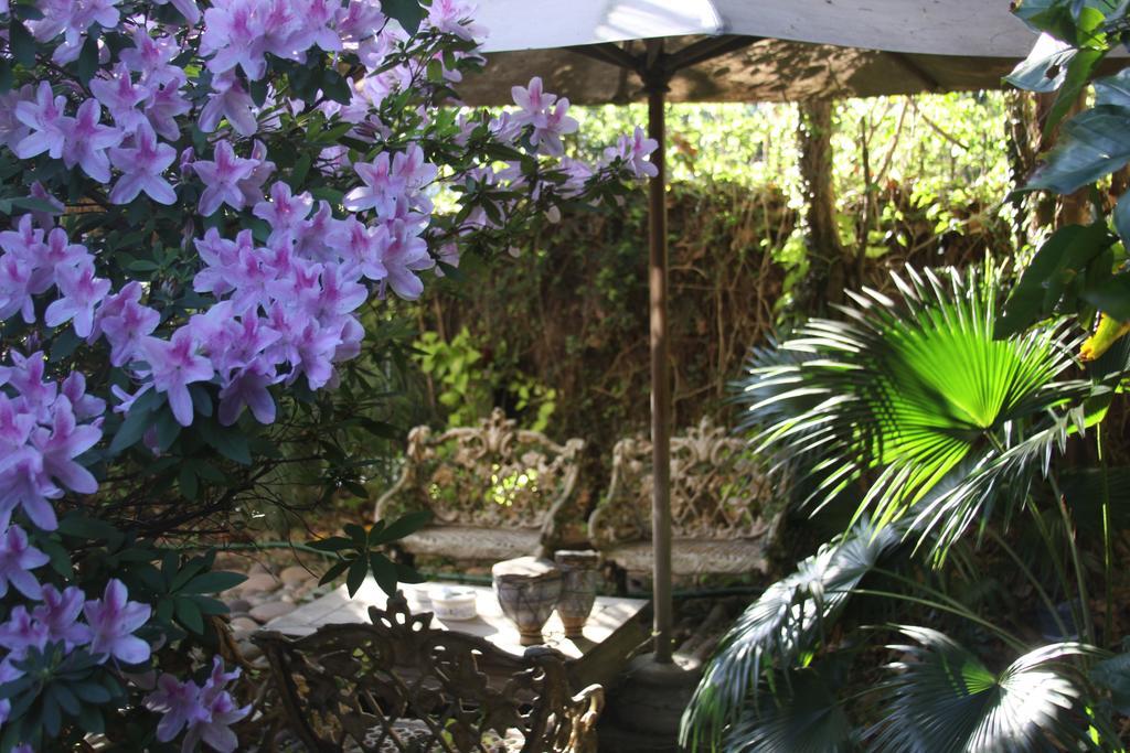 Bed and Breakfast La Casona De Grace Оливос Экстерьер фото